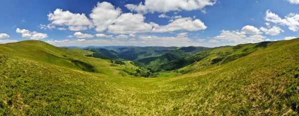 Mountain green summer valley panorama — Stock Photo, Image