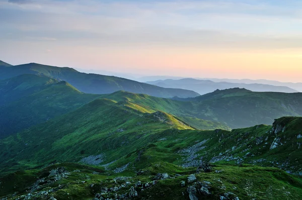Emerald morning Carpathian Mountains. Ukraine — Stock Photo, Image