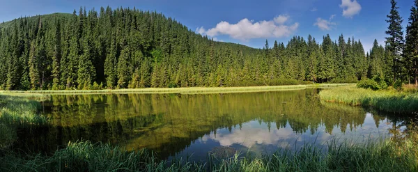 Jezioro marichaika wśród jodła drzew panorama — Zdjęcie stockowe