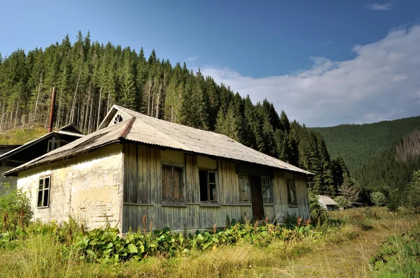 stock image Old abandoned houses in the forests