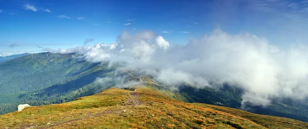 Altas montañas de Cárpatos en nubes — Foto de Stock