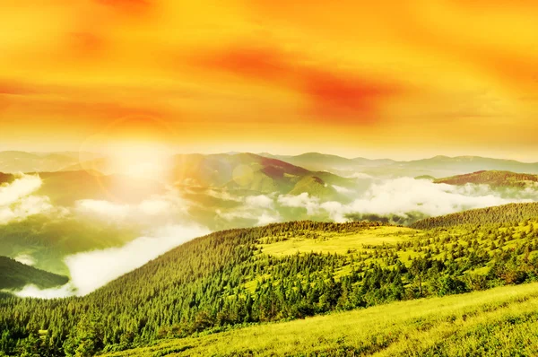 Flaring sun, golden sky and cloudy Carpathian Mountains — Stock Photo, Image