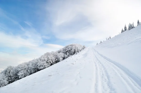 Camino de invierno corriendo a la cima de la colina — Foto de Stock