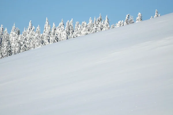 Drzewa pokryte mrozem i śniegiem w górach — Zdjęcie stockowe