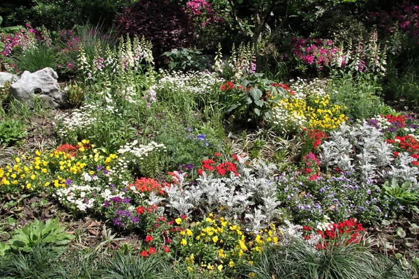 Stock image Flowers