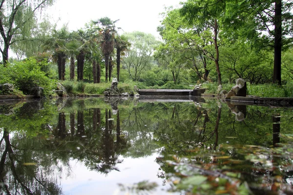 池と木々 — ストック写真
