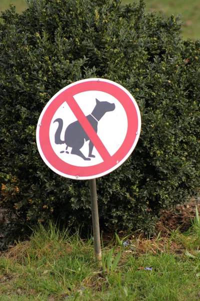 stock image Dog stop sign