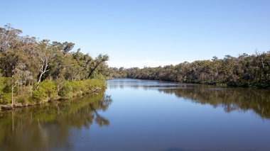 Blackwood Nehri