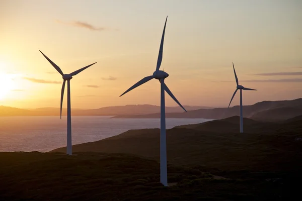 Albany Wind Farm — Stock Photo, Image