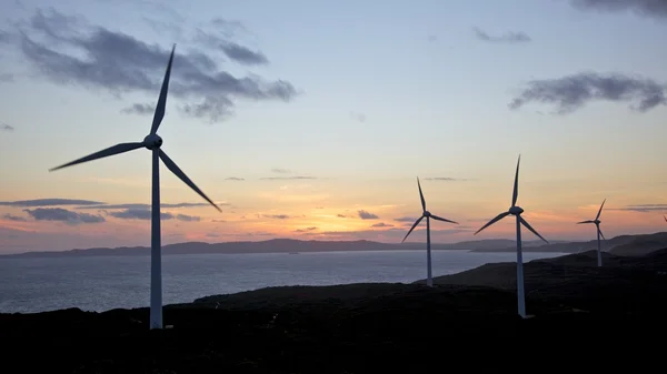 stock image Albany Wind Farm