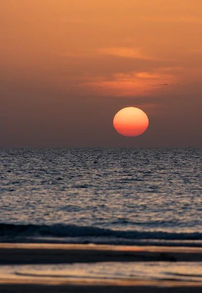 stock image Arabian Gulf Sunset