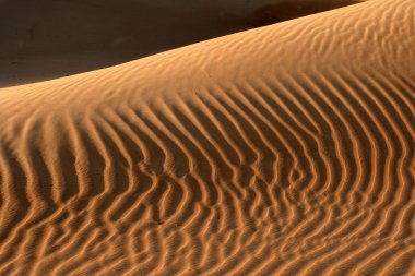 Dune soyut