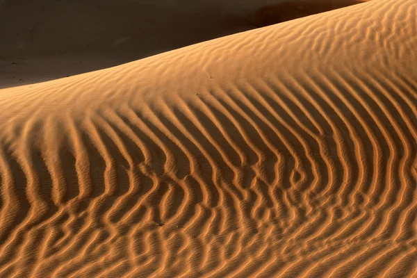 Dune absztrakt — Stock Fotó