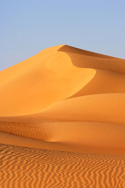 Paisagem de dunas — Fotografia de Stock
