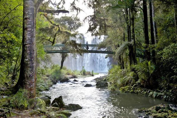 stock image Whangarei Falls