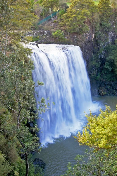 stock image Whangarei Falls