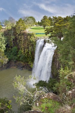 Whangarei Falls