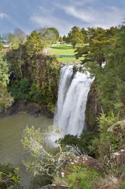 Whangarei Falls clipart