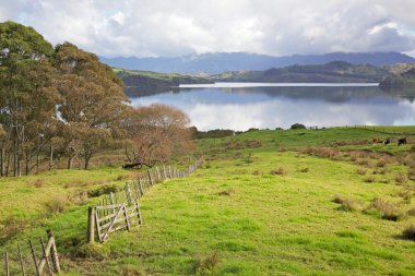 Hokianga Harbour clipart