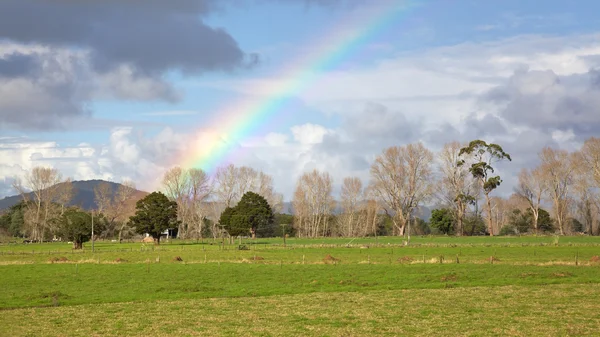 Neuseeland-Regenbogen — Stockfoto