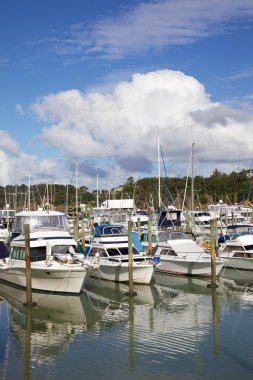 Tutukaka Marina