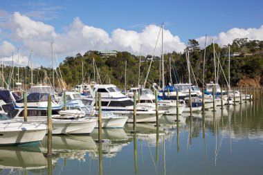 Tutukaka Marina