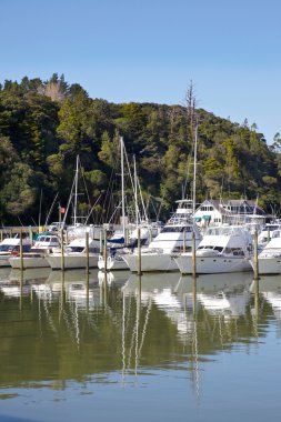 Tutukaka Marina