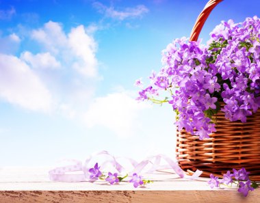 Bluebells spring flowers in a basket clipart