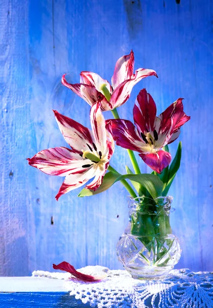 Tulipanes en jarrón sobre fondo de madera —  Fotos de Stock