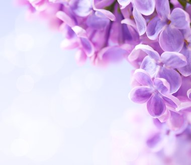 Art lilac flowers background clipart