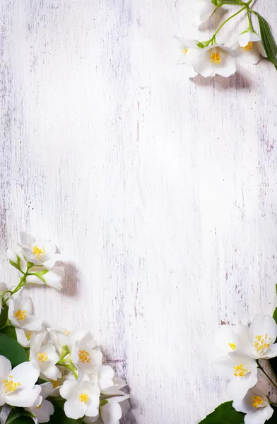 Arte jazmín primavera flores marco sobre fondo de madera vieja —  Fotos de Stock