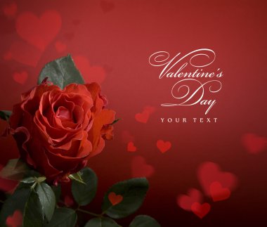 Art Valentines day greeting card with red roses and heart clipart