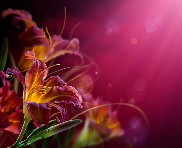Flowers on a red background .With copy-space