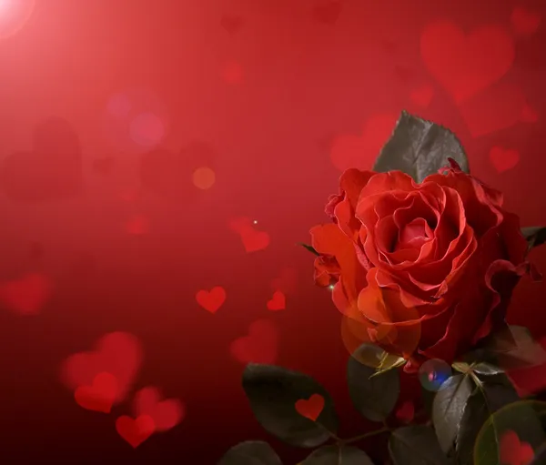 Umění přání s červenými růžemi a srdce — Stock fotografie