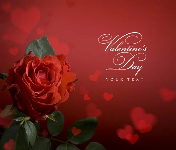 Tarjeta de felicitación del Día de San Valentín con rosas rojas y corazón —  Fotos de Stock