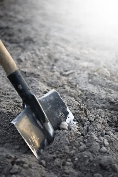Лопати копати — стокове фото