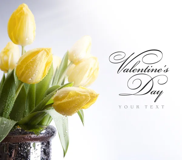 Tulips in the sunlight — Stock Photo, Image