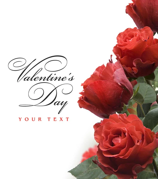 Art Valentine Day greeting card with red roses isolated on white — Stock Photo, Image