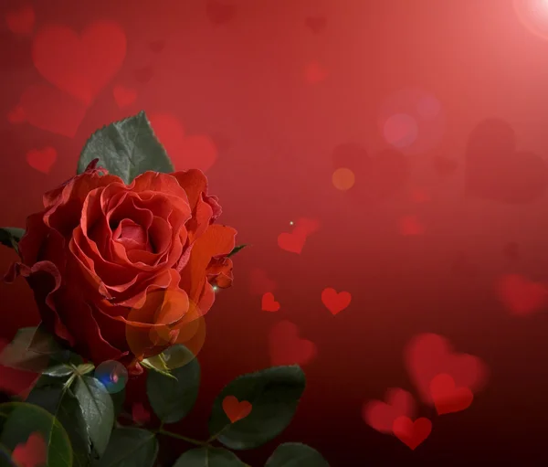 Carte de vœux de la Saint-Valentin avec roses rouges et cœur — Photo