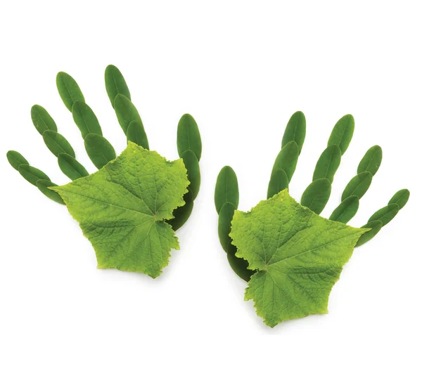 Kunst greenpeace Frühling Hintergrund ökologisches Symbol Hand der Natur — Stockfoto