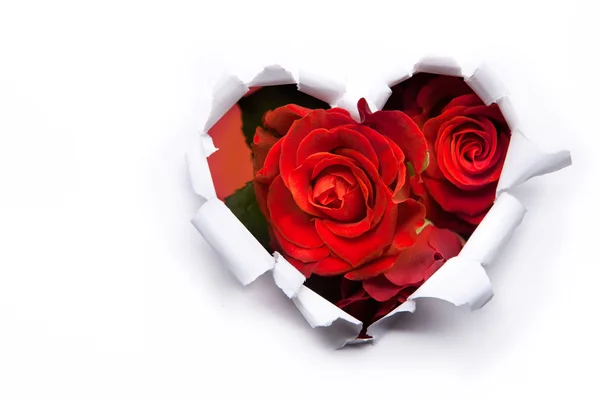 Художественный букет из красных роз и бумажных сердец в День Святого Валентина — стоковое фото