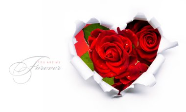 Art banner design of red roses and the paper heart on Valentine clipart