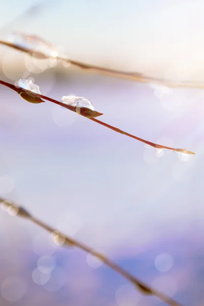 Абстрактний весняний фон з таненням снігу навесні wi — стокове фото