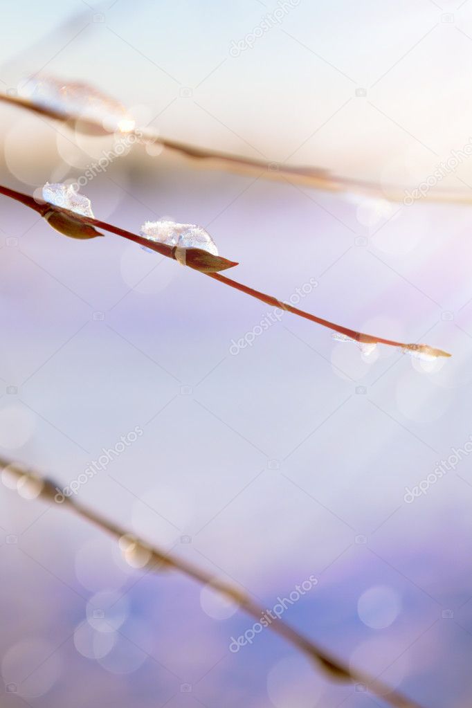 Abstract spring background with thawing snow in the spring of wi