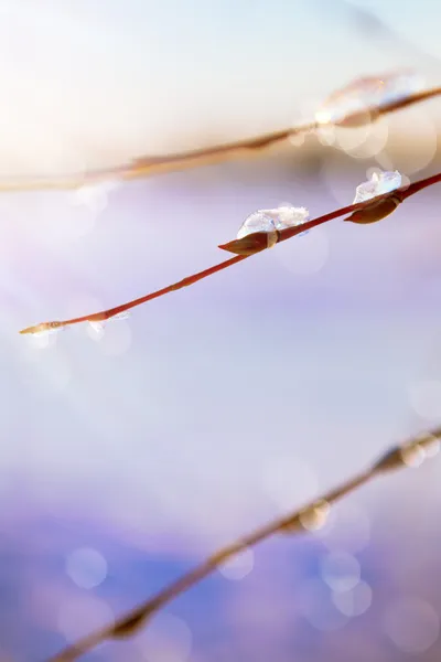 Abstracte kunst voorjaar achtergrond met sneeuw in het voorjaar o ontdooien — Stockfoto