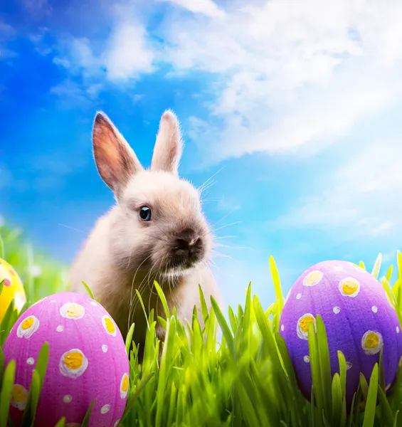 Malé Velikonoční zajíček a velikonoční vejce na zelené trávě — Stock fotografie