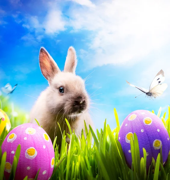 Küçük Paskalya tavşanı ve Paskalya yumurtaları yeşil çimenlerin üzerinde — Stok fotoğraf