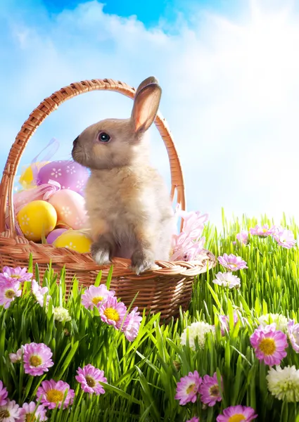 Cesta de Páscoa com ovos decorados e o coelho da Páscoa no gr — Fotografia de Stock