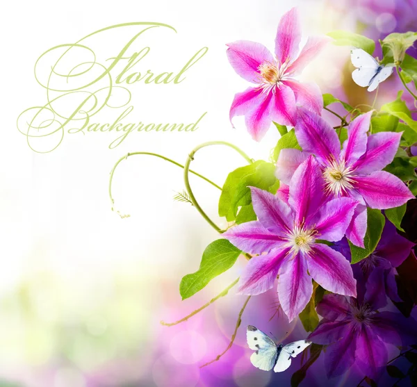 Abstrakte Frühling blumigen Hintergrund — Stockfoto