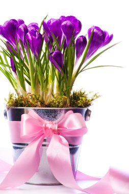 Art Beautiful spring flowers clipart